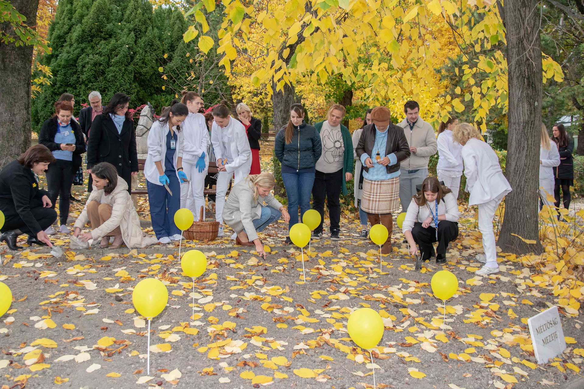 Csoportos-ületetés_w